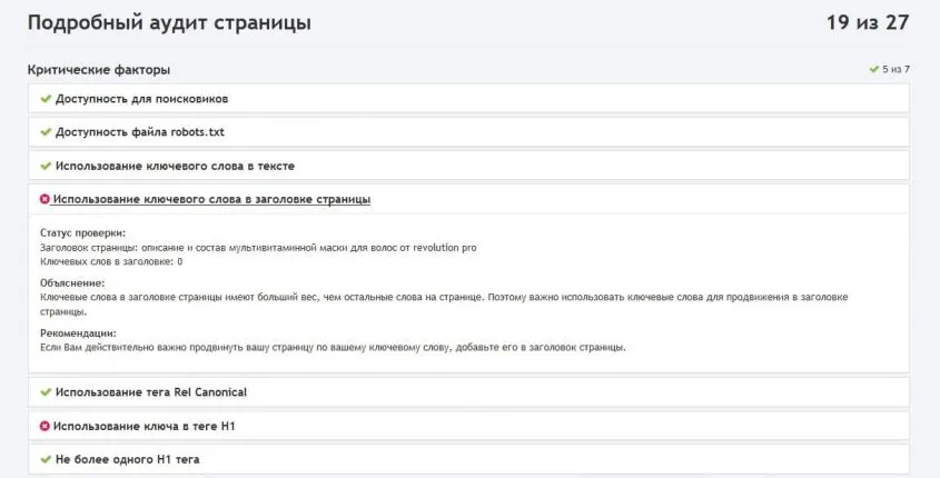 Отчет PR-CY «Подробный аудит страницы», 19 баллов из 27 — скриншот